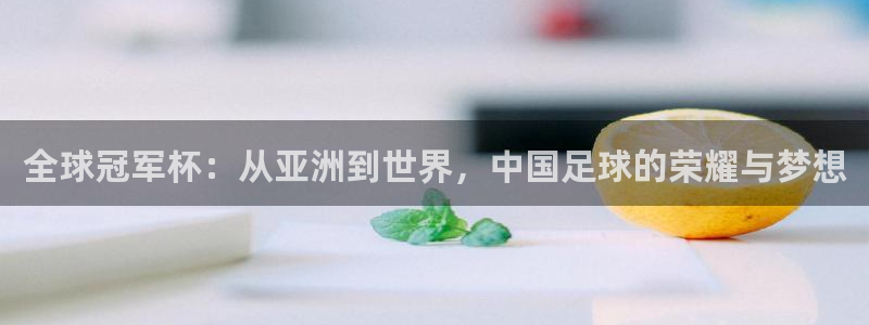 2026年世界杯：全球冠军杯：从亚洲到世界，中国足球的荣耀与梦想
