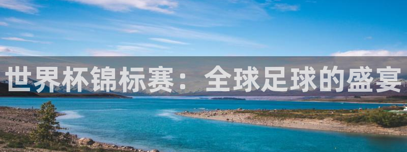 免费看足球直播比赛：世界杯锦标赛：全球足球的盛宴
