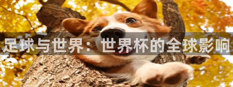 欧洲区世界杯预选赛：足球与世界：世界杯的全球影响