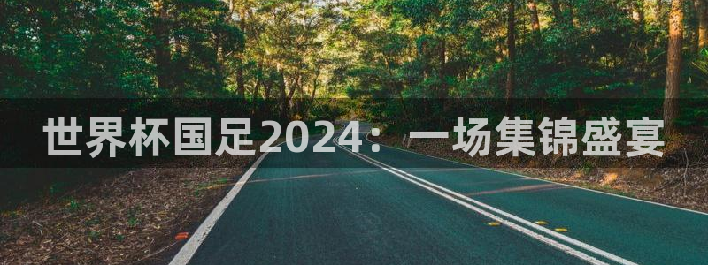 世界直播：世界杯国足2024：一场集锦盛宴