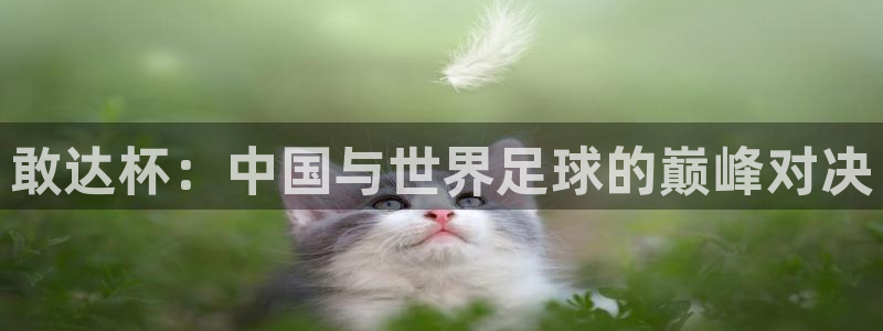 世界杯预选赛亚洲：敢达杯：中国与世界足球的巅峰对决