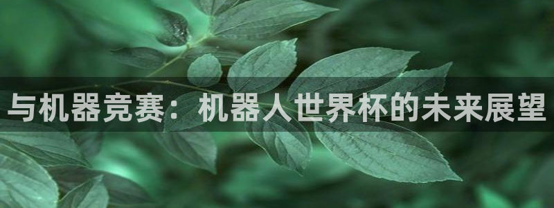 2026世界杯赛制：与机器竞赛：机器人世界杯的未来展望