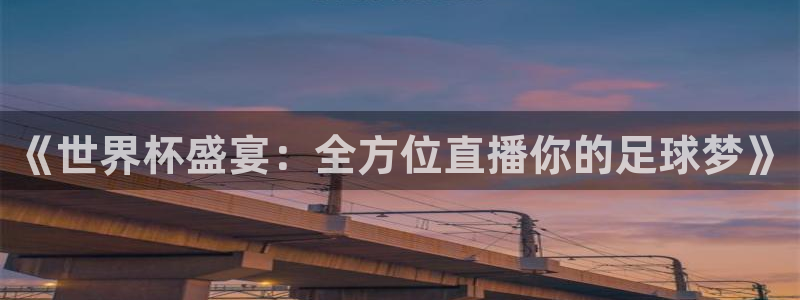 世界杯直播观看：《世界杯盛宴：全方位直播你的足球梦》