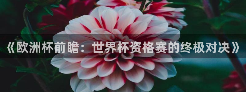 世界杯附加赛赛程表：《欧洲杯前瞻：世界杯资格赛的终极对决》