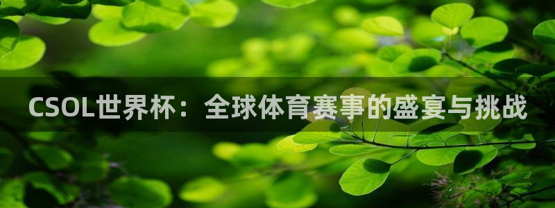 世预赛赛程表：CSOL世界杯：全球体育赛事的盛宴与挑战