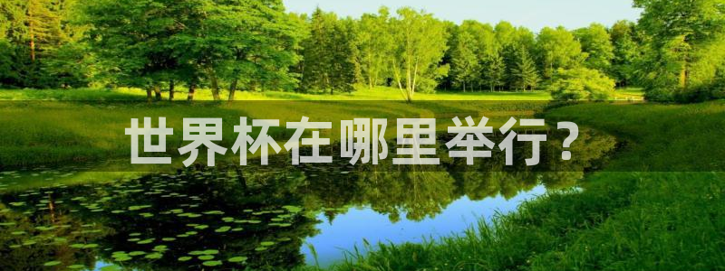 足球杯：世界杯在哪里举行？