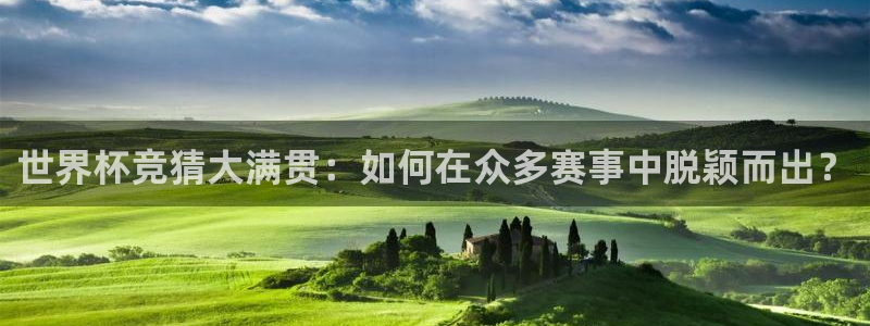 世界杯今年：世界杯竞猜大满贯：如何在众多赛事中脱颖而出？